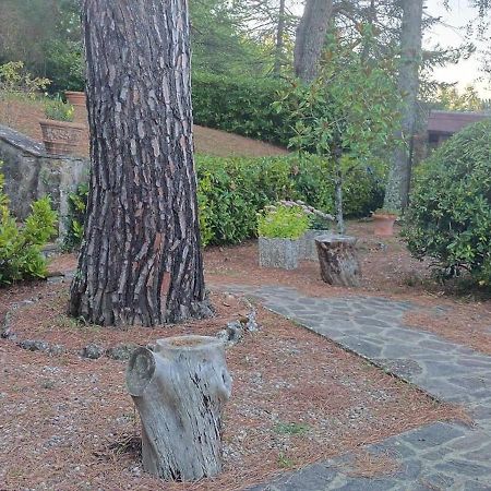 Villa Santa Margherita - La Suvera Ponte A Bozzone Exteriér fotografie