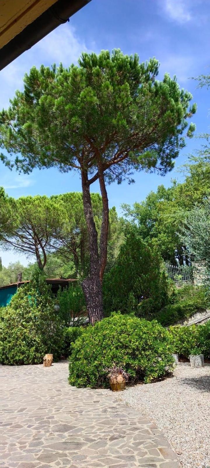 Villa Santa Margherita - La Suvera Ponte A Bozzone Exteriér fotografie