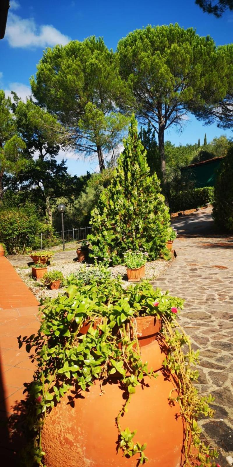 Villa Santa Margherita - La Suvera Ponte A Bozzone Exteriér fotografie