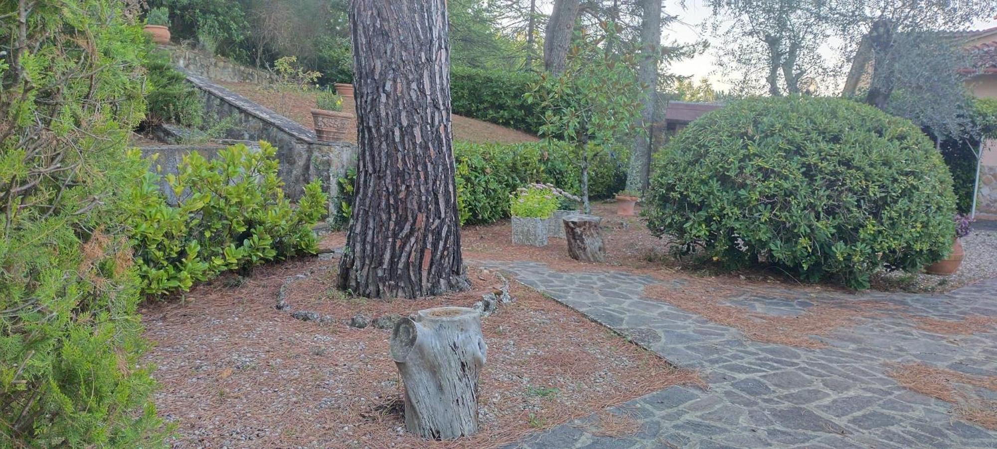 Villa Santa Margherita - La Suvera Ponte A Bozzone Exteriér fotografie