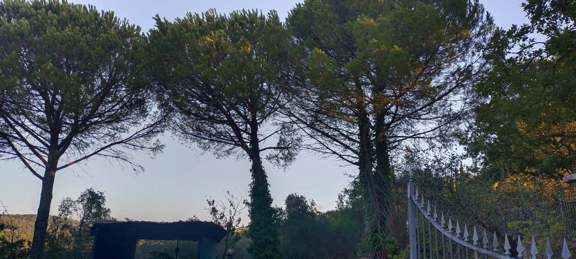 Villa Santa Margherita - La Suvera Ponte A Bozzone Exteriér fotografie